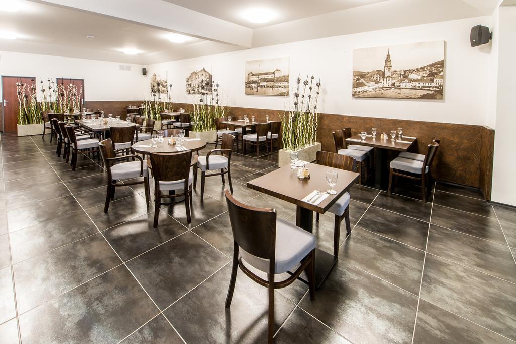 Hotel U Lva Bilina Екстер'єр фото