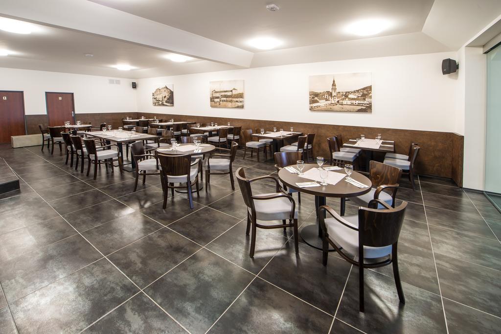 Hotel U Lva Bilina Екстер'єр фото